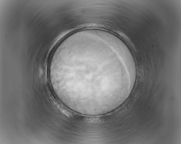 X0000080800886200701021247