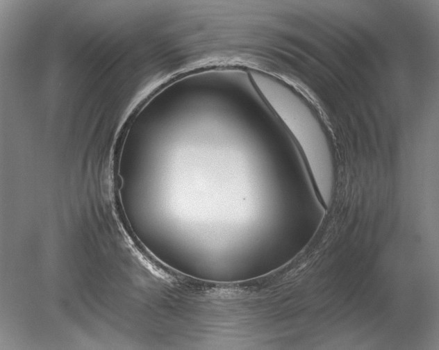 X0000080800894200701021247