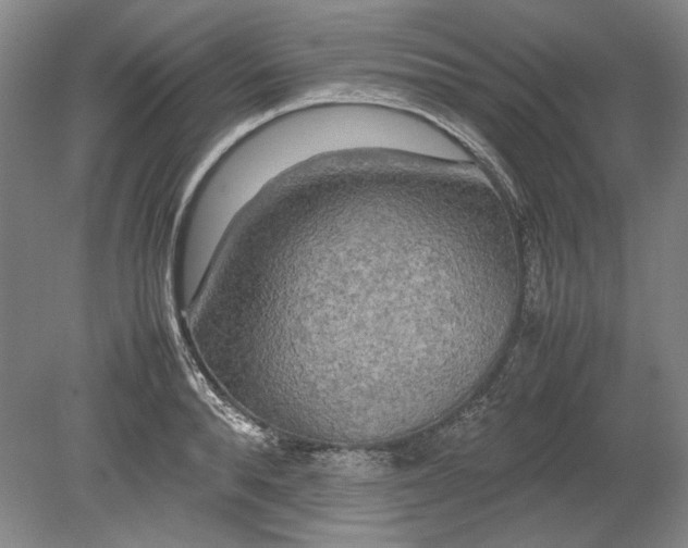 X0000080800896200701021247