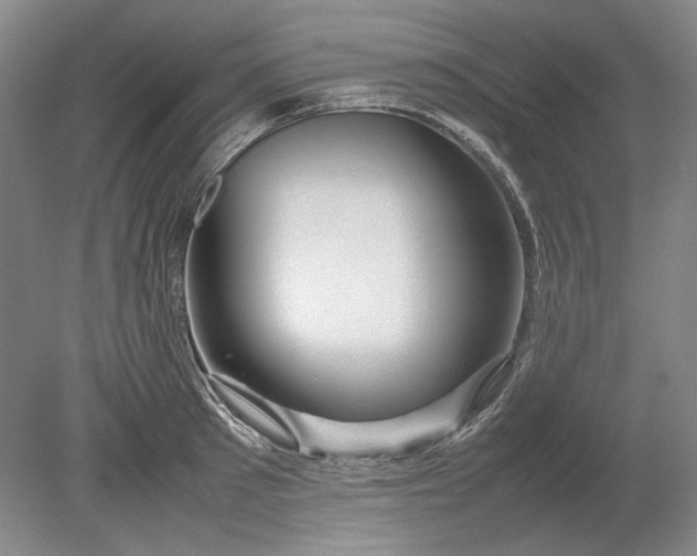 X0000080800897200701021247
