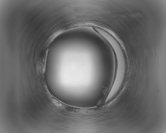 X0000080800905200701021247