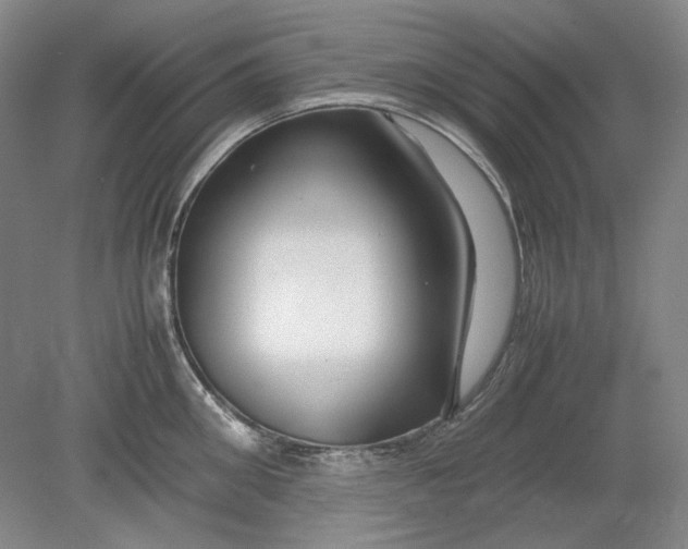 X0000080800906200701021247