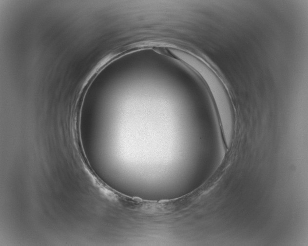 X0000080800909200701021246