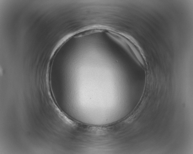 X0000080800910200701021246