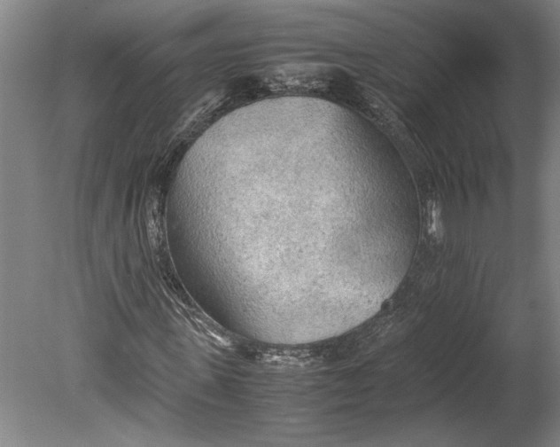 X0000080800915200701021246