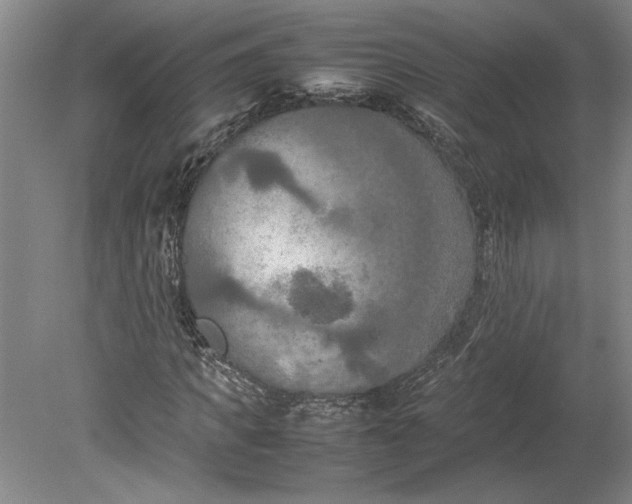 X0000080800917200701021246