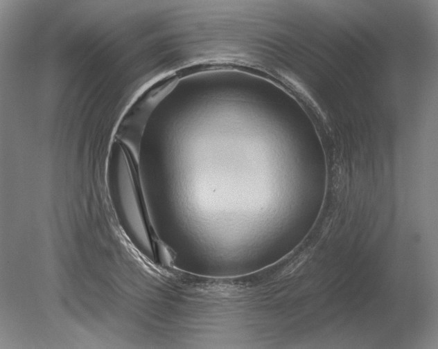 X0000080800932200701021246