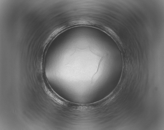 X0000080800938200701021246