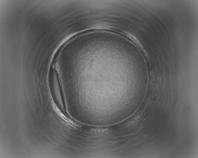 X0000080800939200701021246
