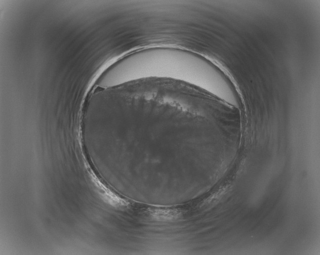 X0000080800941200701021246