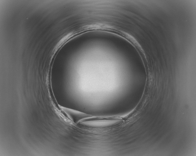 X0000080800946200701021246