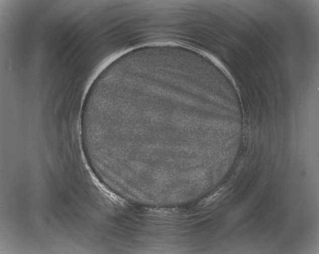 X0000080800951200701021246