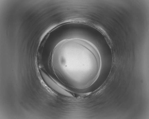 X0000080800952200701021246
