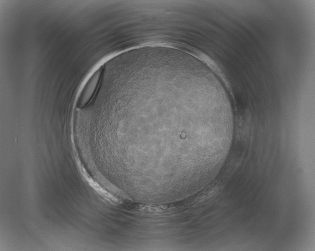 X0000080800955200701021246