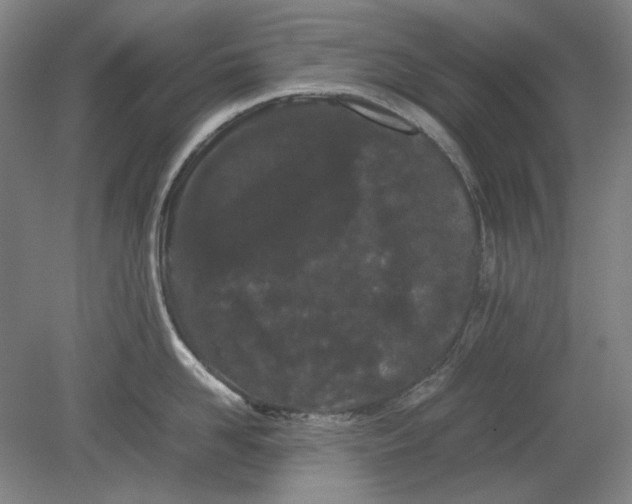 X0000080800958200701021246