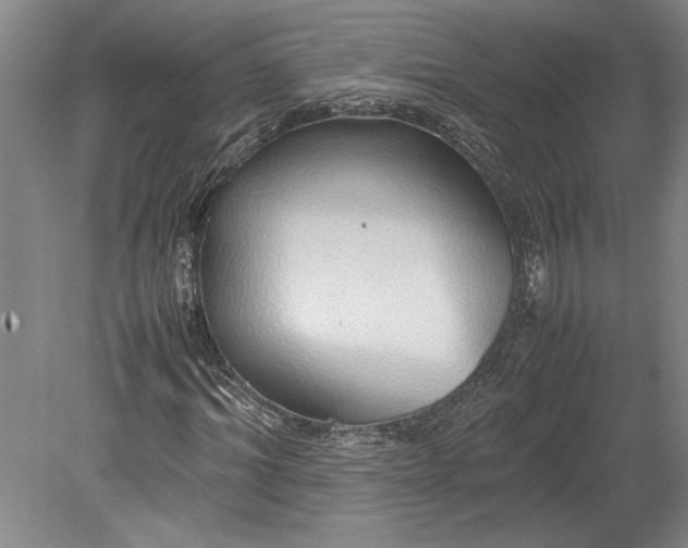 X0000080800964200701021246