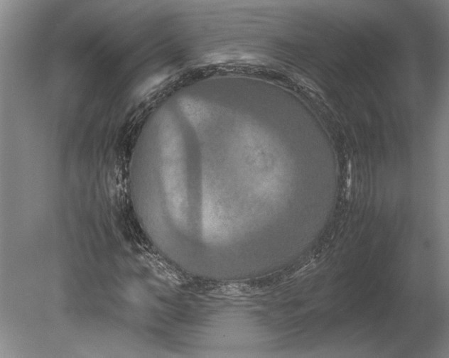 X0000080800966200701021246
