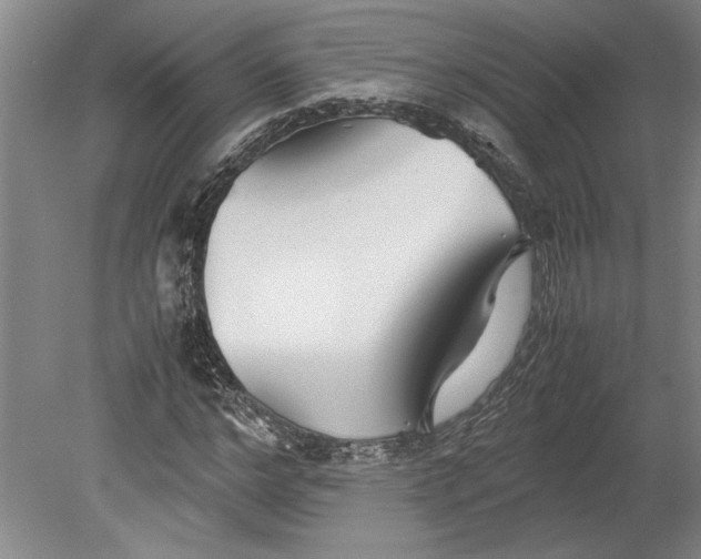 X0000080800968200701021245
