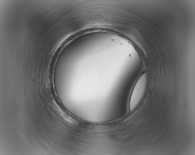X0000080800972200701021245