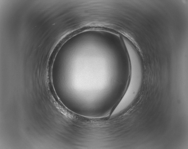 X0000080800976200701021245