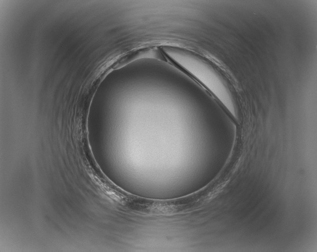 X0000080800977200701021245