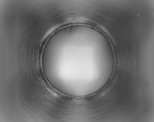 X0000080800978200701021245