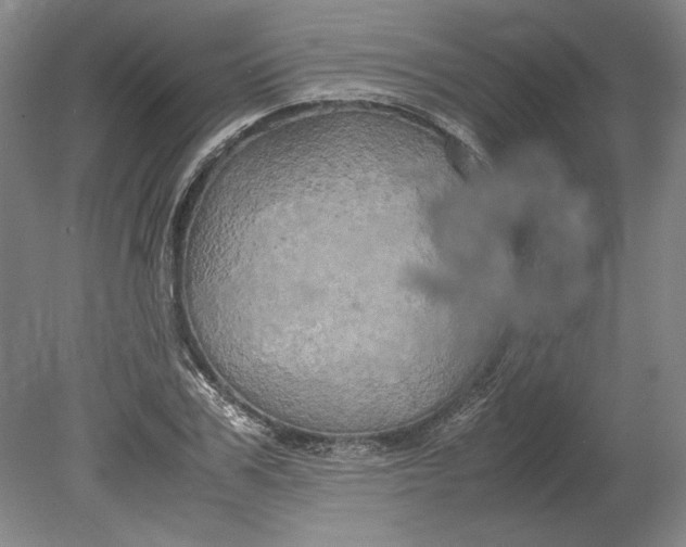 X0000080800979200701021245