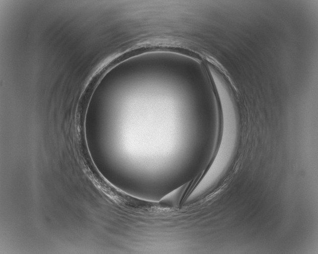 X0000080800981200701021245