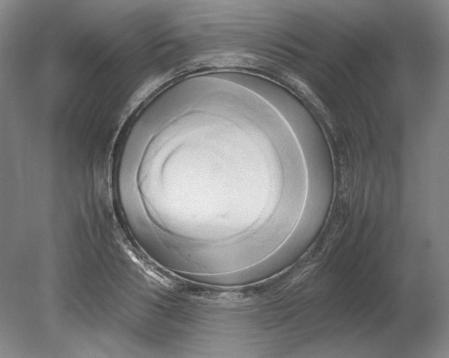X0000080800986200701021245