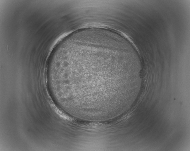 X0000080800987200701021245