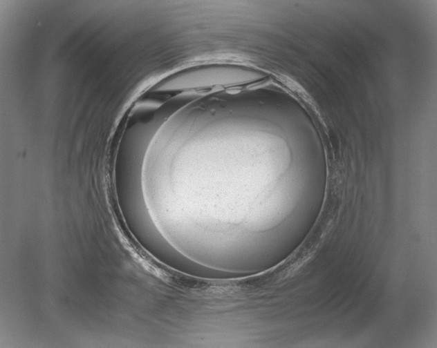 X0000080800989200701021245