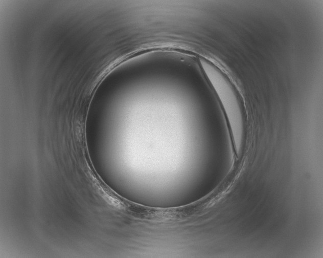 X0000080800993200701021245
