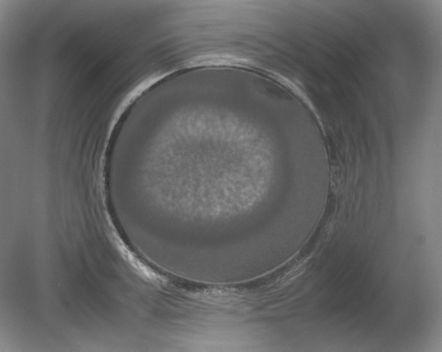 X0000080800995200701021245