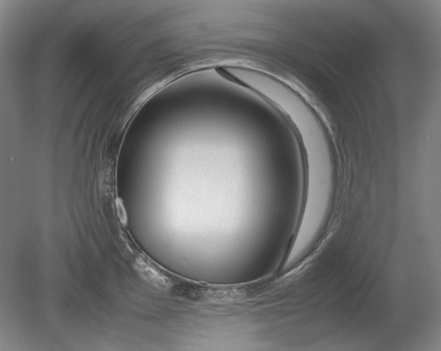 X0000080801001200701021245