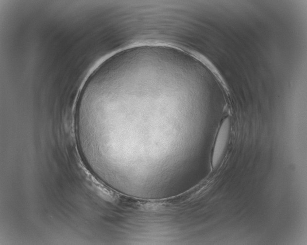 X0000080801004200701021245