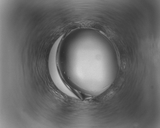 X0000080801010200701021244