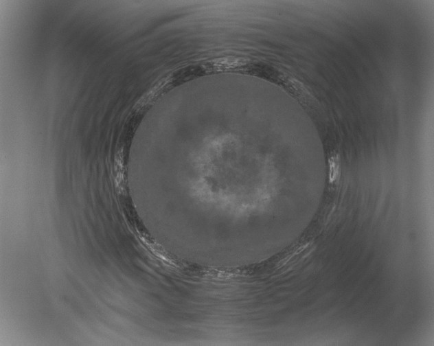 X0000080801011200701021244