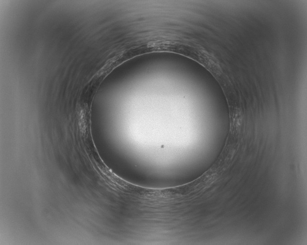 X0000080801012200701021244
