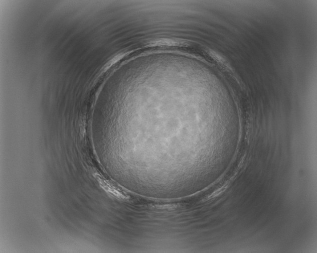 X0000080801017200701021244