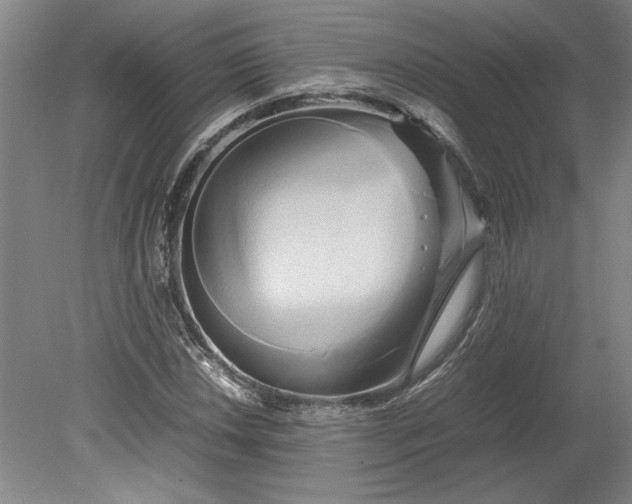 X0000080801018200701021244