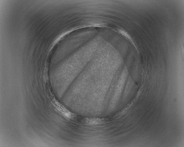 X0000080801019200701021244