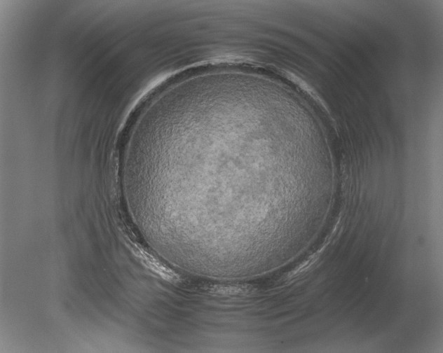 X0000080801021200701021244