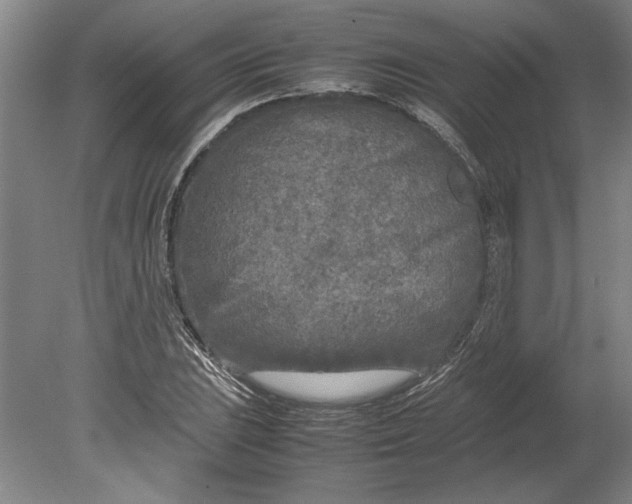 X0000080801023200701021244