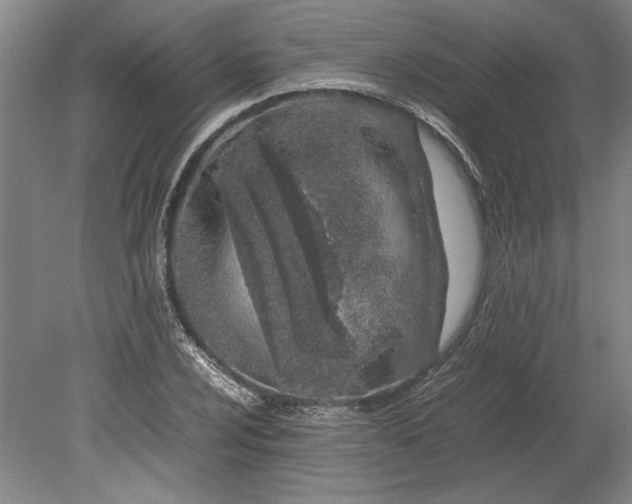 X0000080801024200701021244