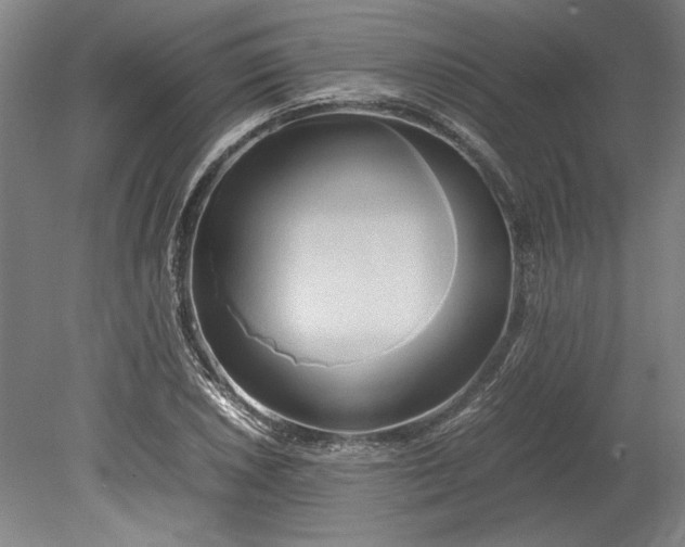 X0000080801026200701021244