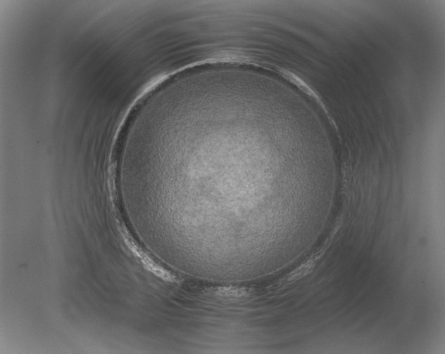 X0000080801029200701021244