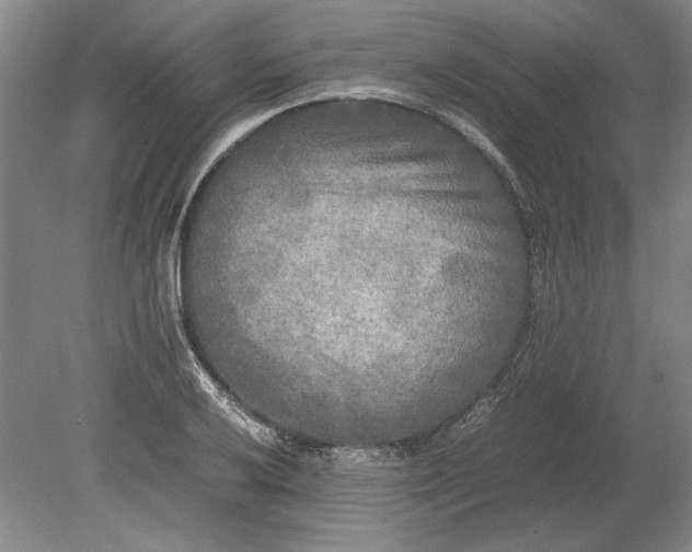 X0000080801032200701021244