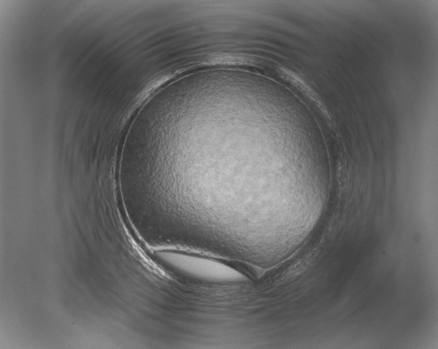 X0000080801033200701021244