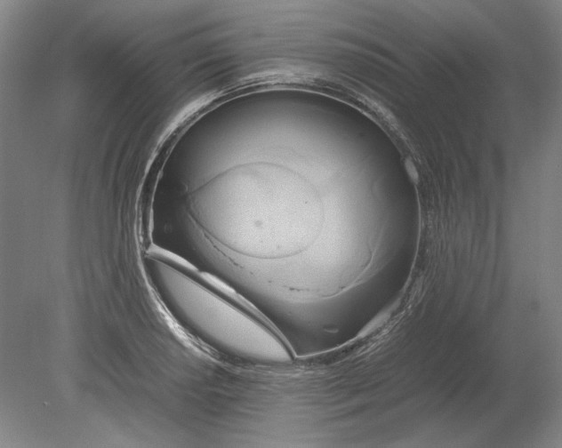 X0000080801034200701021244