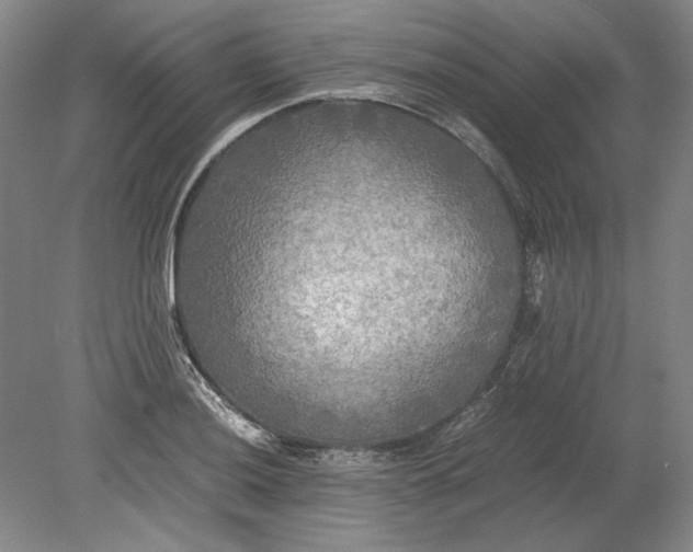 X0000080801036200701021244